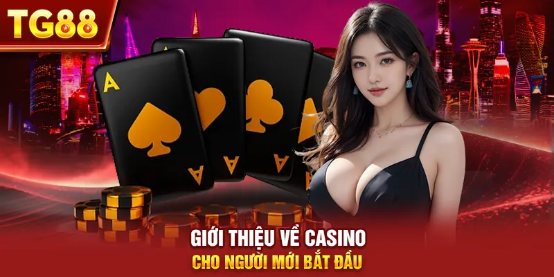 Giới thiệu về casino cho người mới bắt đầu