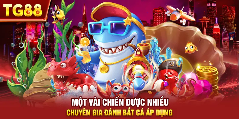 Một vài chiến được nhiều chuyên gia đánh bắt cá áp dụng